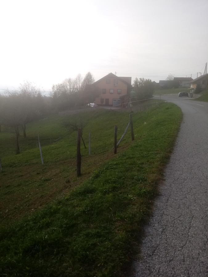 Bad&Breakfast Zilje Bed & Breakfast Vinica Екстериор снимка